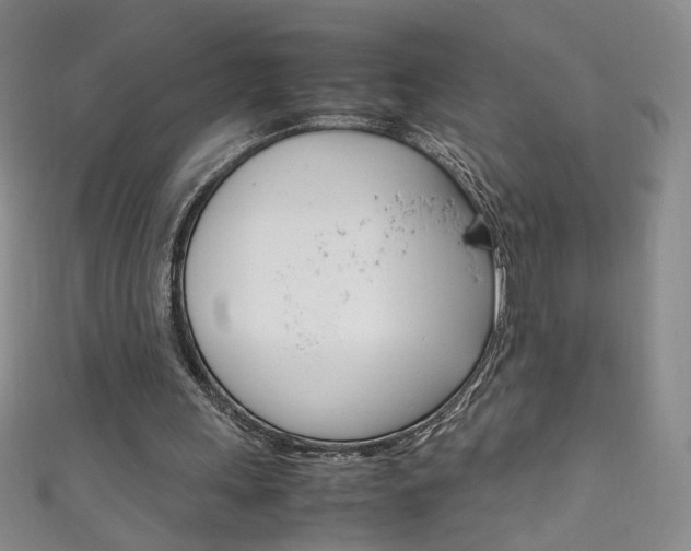 X0000111660243200907171125