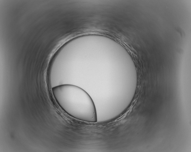 X0000111660244200907171125