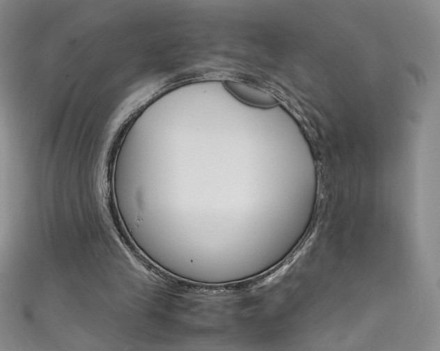 X0000111660245200907171125