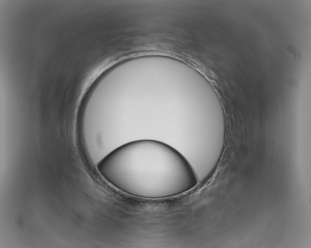X0000111660248200907171125