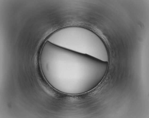 X0000111660250200907171125