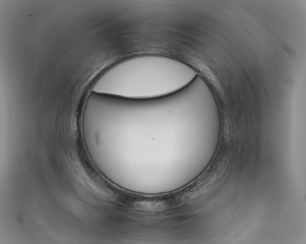 X0000111660251200907171125