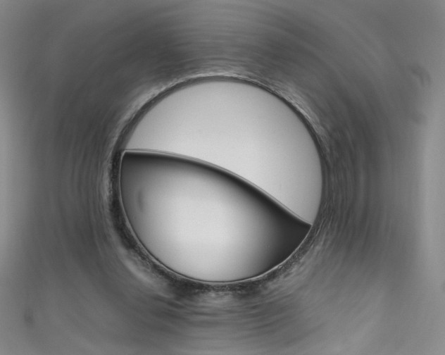X0000111660252200907171125