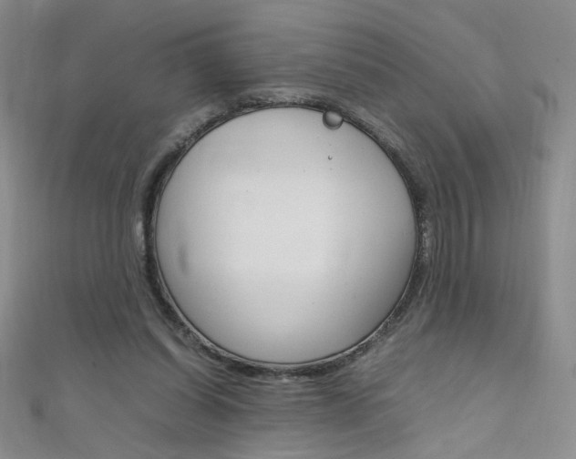 X0000111660254200907171125