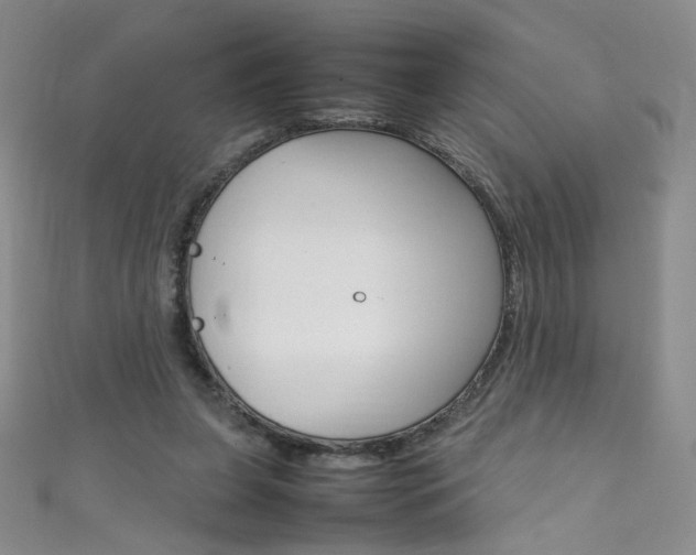 X0000111660255200907171125