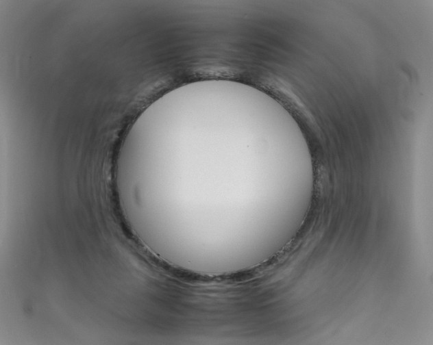 X0000111660259200907171125