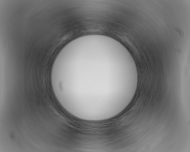 X0000111660260200907171125