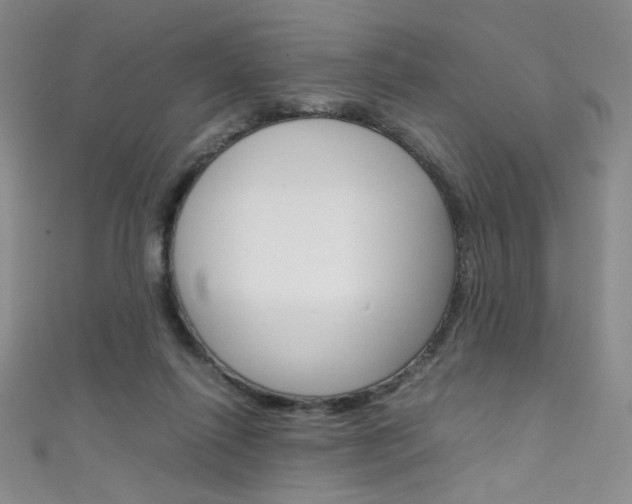 X0000111660262200907171125