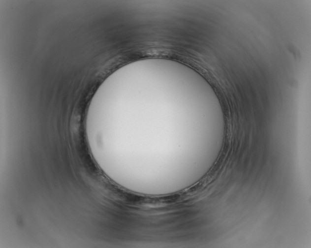 X0000111660263200907171125