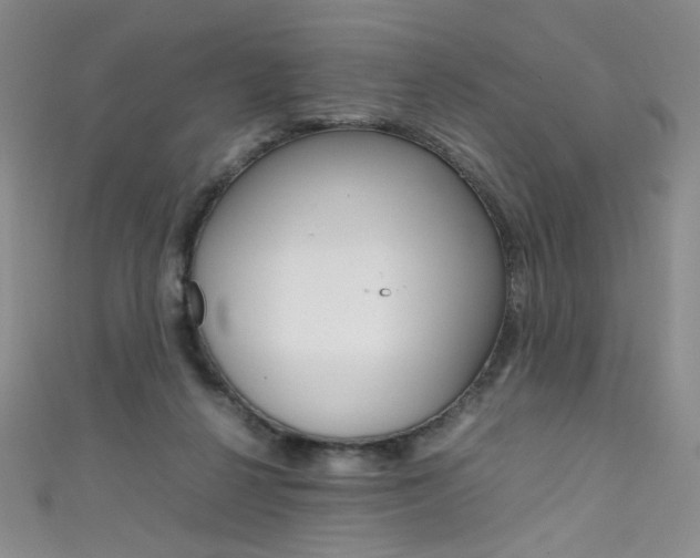 X0000111660264200907171125