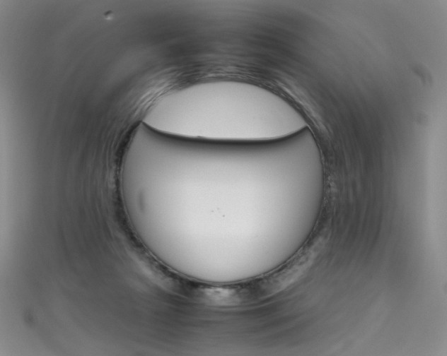 X0000111660265200907171125