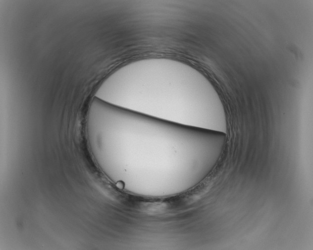 X0000111660266200907171125
