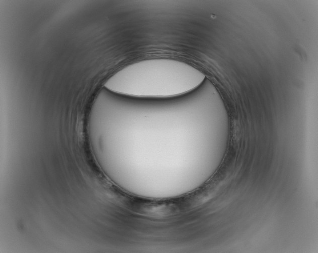 X0000111660267200907171126