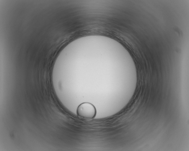 X0000111660268200907171126