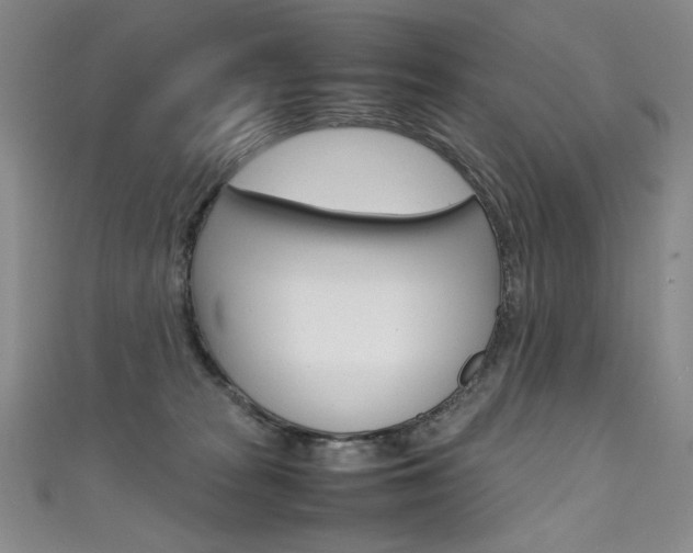 X0000111660277200907171126
