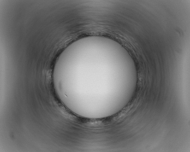 X0000111660278200907171126