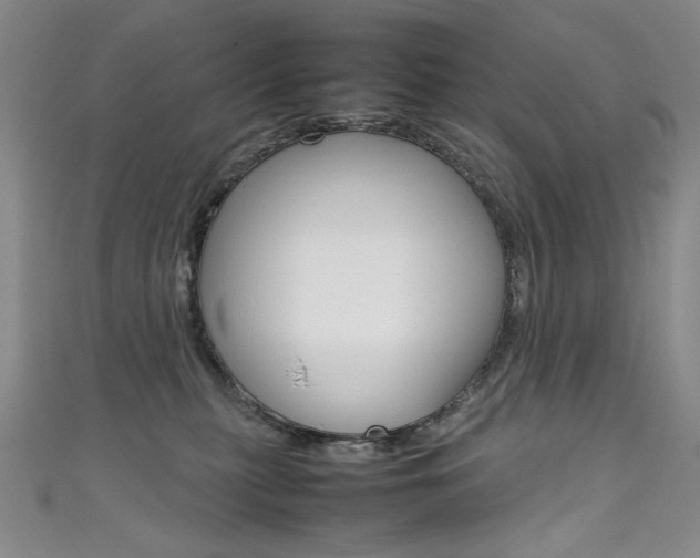 X0000111660279200907171126