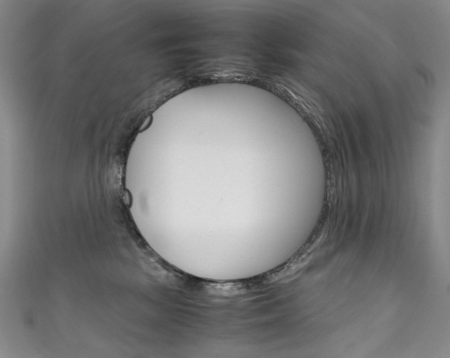 X0000111660281200907171126