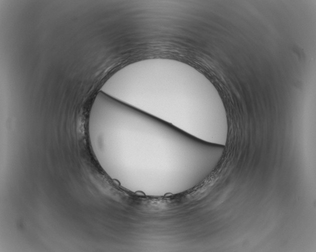 X0000111660282200907171126