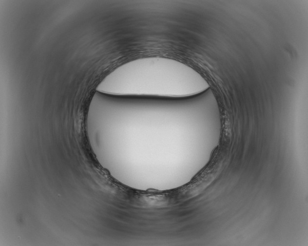 X0000111660283200907171126