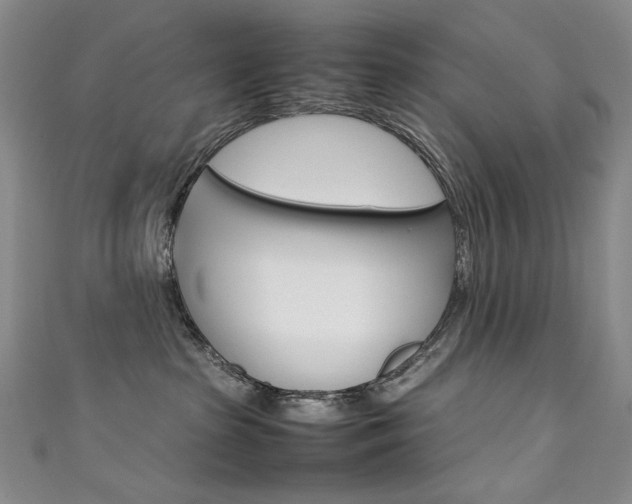 X0000111660285200907171126