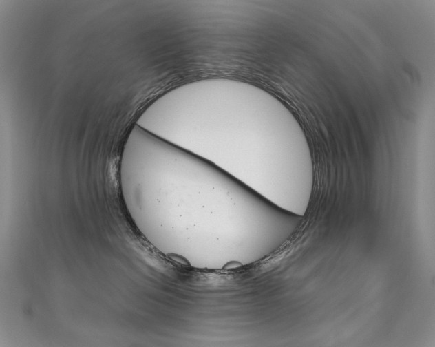 X0000111660286200907171126