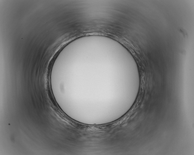 X0000111660290200907171125