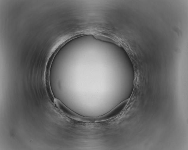 X0000111660292200907171125
