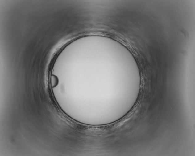 X0000111660294200907171125