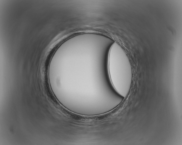 X0000111660295200907171125