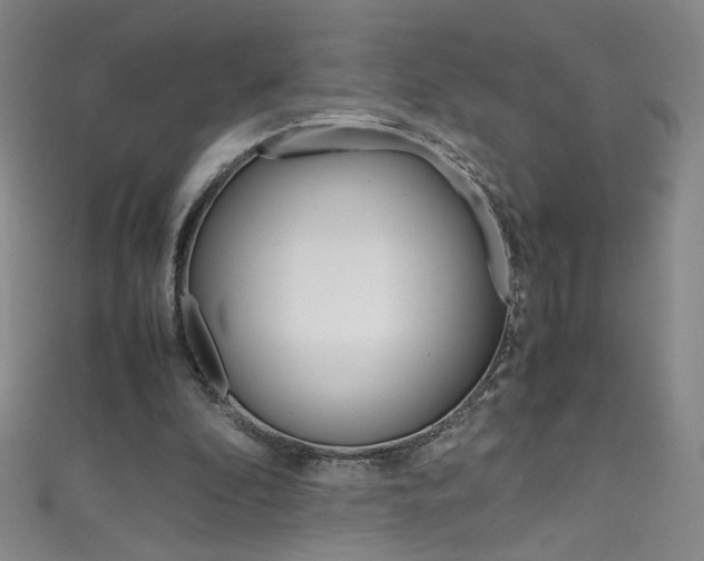 X0000111660296200907171125