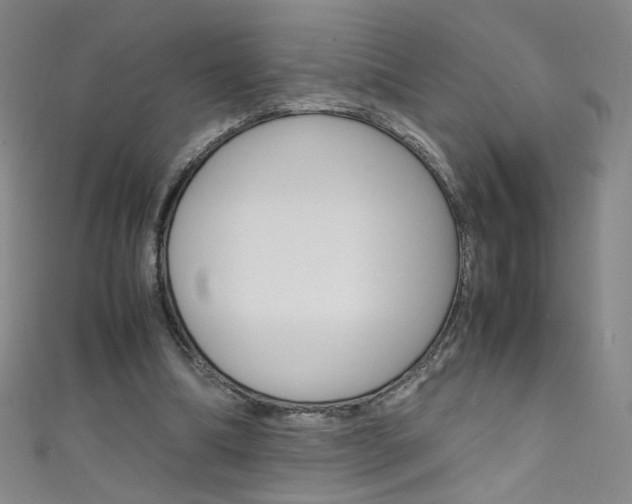 X0000111660298200907171125