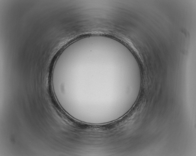X0000111660299200907171125