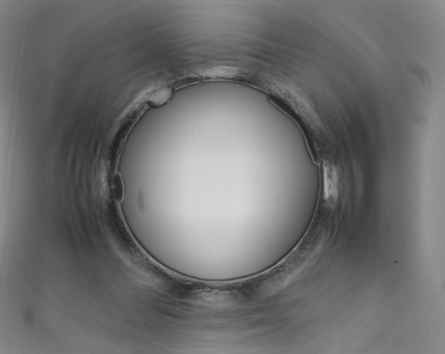 X0000111660300200907171125