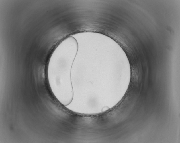 X0000111660302200907171125