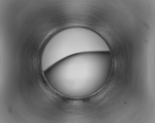 X0000111660304200907171125