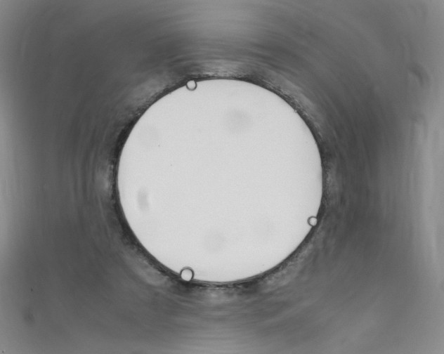 X0000111660305200907171125