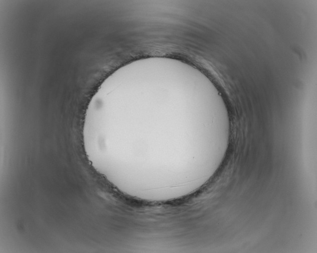 X0000111660307200907171125