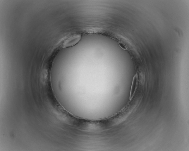 X0000111660308200907171125