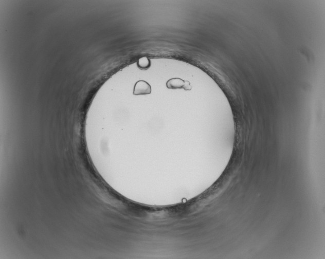 X0000111660309200907171125