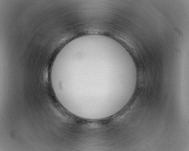 X0000111660310200907171125