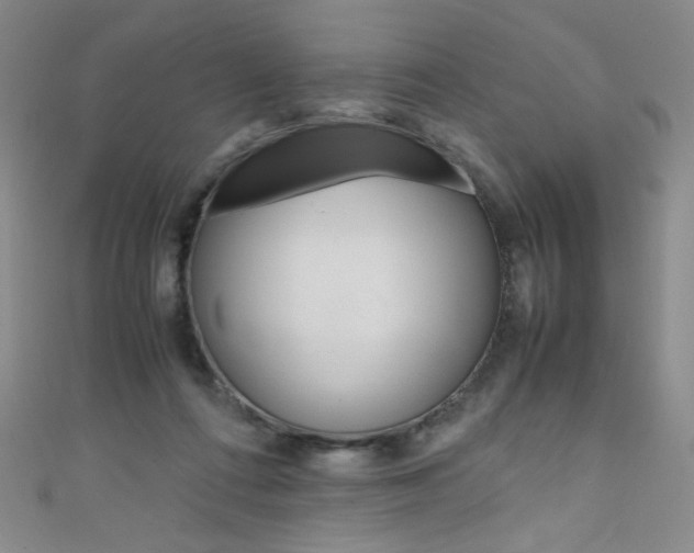 X0000111660312200907171125