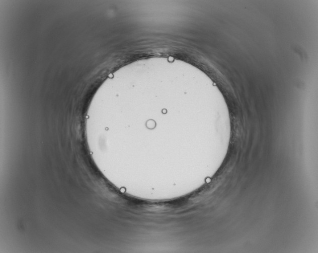 X0000111660313200907171125