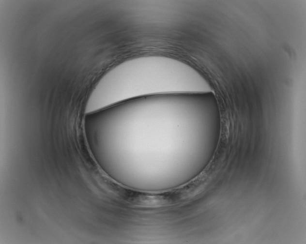 X0000111660316200907171125