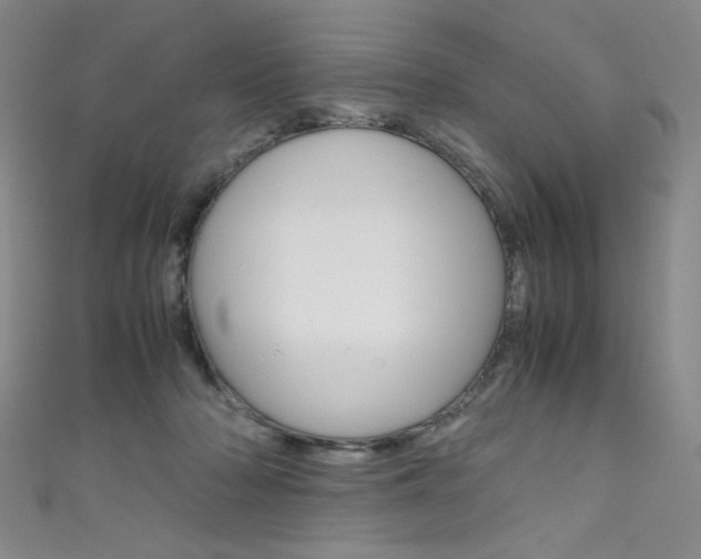 X0000111660318200907171125