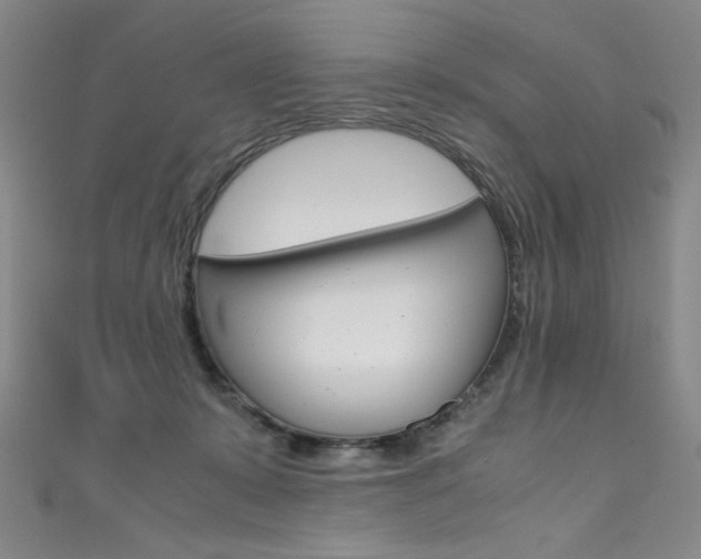 X0000111660319200907171125
