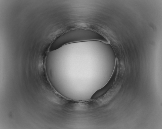 X0000111660320200907171125