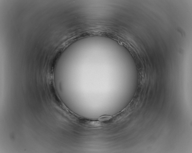 X0000111660324200907171125