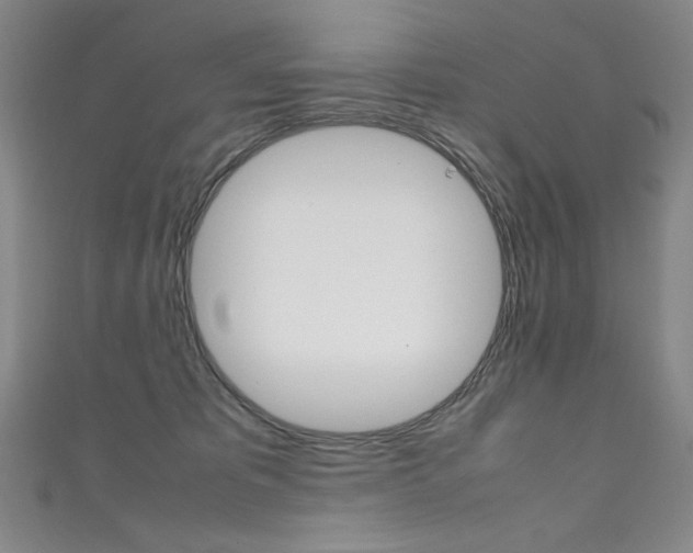 X0000111660325200907171125