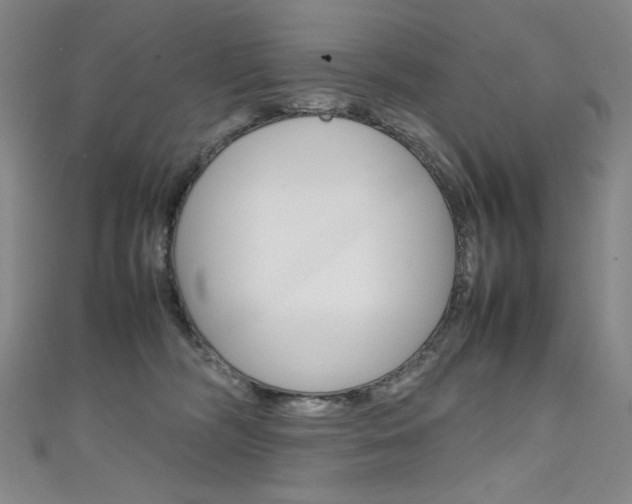 X0000111660326200907171125